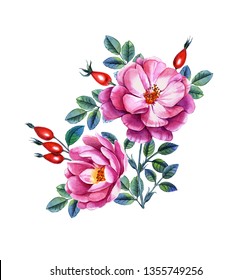 Watercolor Hand Painted Illustration Roses Can Stock Illustration 510050449