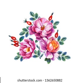 Watercolor Hand Painted Illustration Roses Can Stock Illustration 510050449