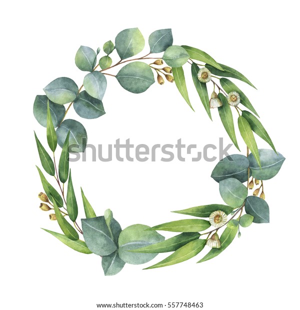 ユーカリの葉と枝を描いた水彩手描きの輪 カード 結婚式の招待状 日付や挨拶のデザインに合ったハーブを修復します テキスト用のスペースを持つ春の花 の イラスト素材