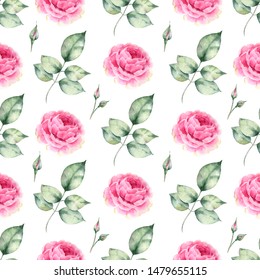 Set Watercolor Elements Roses Hydrangeacollection Garden Stock ...