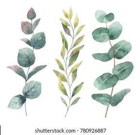 Watercolor Hand Painted Set Eucalyptus Leaves Stock Illustration ...