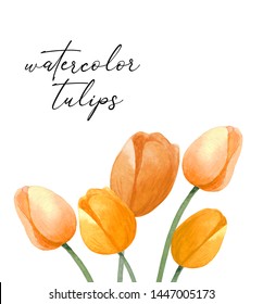 Watercolor Hand Painted Tulips Card Colorful Stock Illustration ...