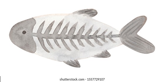 xray fish images stock photos vectors shutterstock