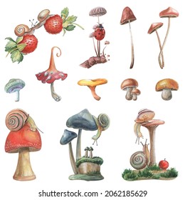 Watercolor handdraw set - mushrooms with snails, ladybugs and berries