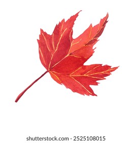 Watercolor hand-drawing leaf. Fall leaf. Fall, autumn, thanksgiving, holiday - Powered by Shutterstock