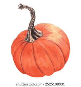 Watercolor hand-drawing pumpkin. Fall composition, pumpkin. Fall, autumn, thanksgiving, holiday - Powered by Shutterstock