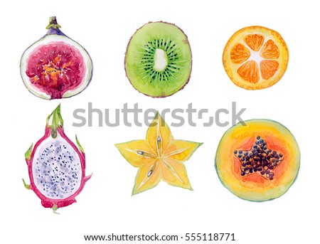 Watercolor hand-drawn exotic fruits on white background (isolated)