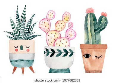 Watercolor hand-drawn illustration with cactus and succulents. Green house plants illustrations. Cute pots for plants.