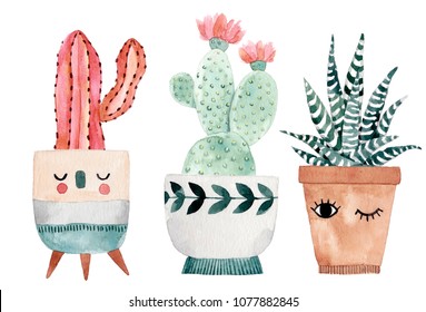 Watercolor hand-drawn illustration with cactus and succulents. Green house plants illustrations. Cute pots for plants.