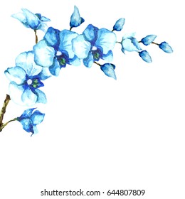 Watercolor handmade isolated bouquet of blue azure orchids and buds.White background.Tropical spring element for invitation postcards felicitations congratulations invitations compliments,wallpapers