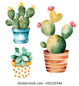 Watercolor handpainted cactus plant and succulent plant in pot.Watercolor clipart,individual flower pot isolated on white background.Perfect for your project,cover,wallpaper,pattern,gift paper,wedding