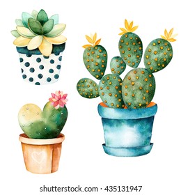 Watercolor handpainted cactus plant and succulent plant in pot.Watercolor clipart,individual flower pot isolated on white background.Perfect for your project,cover,wallpaper,pattern,gift paper,wedding