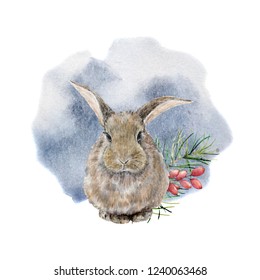Watercolor hare in winter forest. Hand painted animal illustration with  rabbit and pine tree, berries isolated on white background. Holiday clip art for design, print. Christmas card