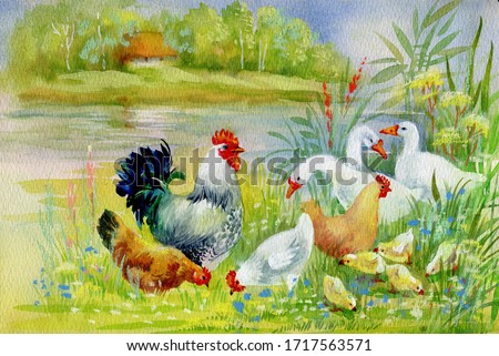 Watercolor Hen and chicks in yard illustration
