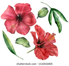 Featured image of post Hibiscus Flower Painting Images / Square plastic bits that are attached to an adhesive canvas by assigned color.