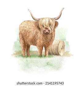 Watercolor Highland Cow Illustration With Haystack And Green Grass