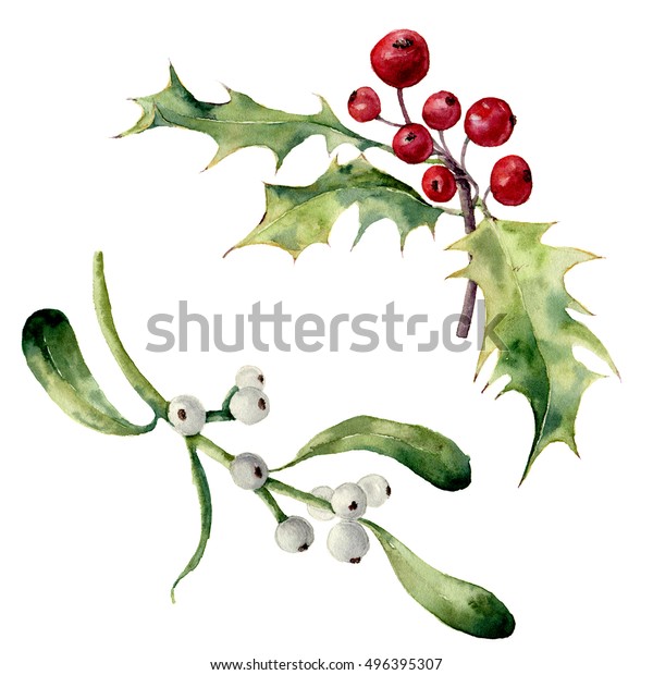 水彩ホリーとヤドリギセット 白い背景に手描きのクリスマス花柄のエレメント デザイン用植物イラスト のイラスト素材