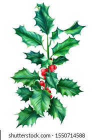 41,884 Watercolor holly Images, Stock Photos & Vectors | Shutterstock