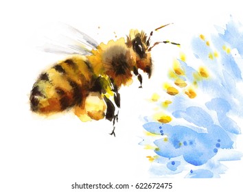 Watercolor Honey Bee Flying Over Blue Flower Hand Painted Summer Illustration isolated on white background