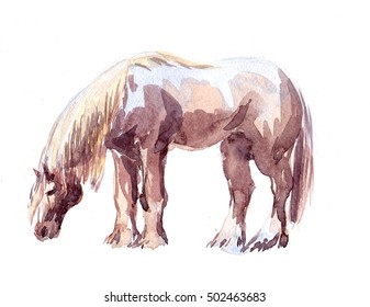 Watercolor Horse