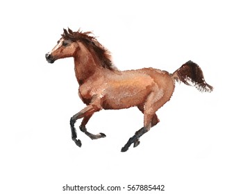 Watercolor Horse Running Hand Drawn Illustration Isolated on white background