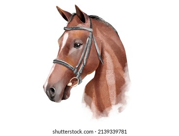 Watercolor Horse sketch. Cute illustration.  Farm animal.