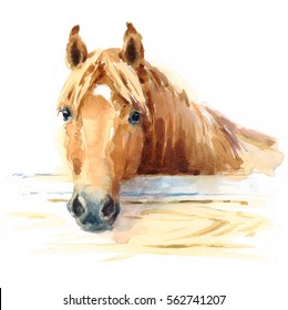 Watercolor Horse in the Stable Hand Painted Illustration 