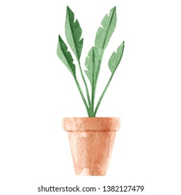 Watercolor Houseplants. Hand Painted House Green Plants In Flower Pots. Flowers Isolated On White Background. Potted Plant Collection. Set Of House Indoor Plants. Clipart For Invitation Card, Greeting