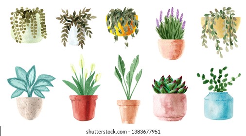 Watercolor Houseplants. Hand Painted House Green Plants In Flower Pots. Flowers Isolated On White Background. Potted Plant Collection. Set Of House Indoor Plants. Clipart For Invitation Card, Greeting