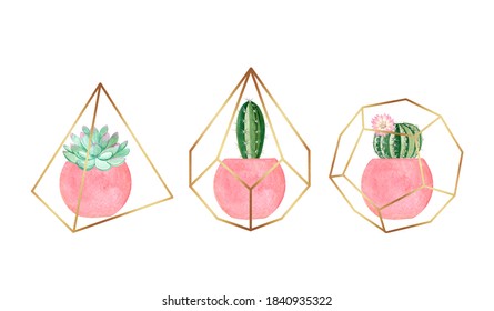 watercolor houseplants in pink pots and gold decoration set isolated on white background. Cute cactus and succulents hand drawn illustrations