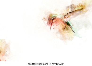 Watercolor Hummingbird in Flight