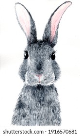 Watercolor illustraion of a ray bunny wuth pink ears and pink nose. Isolated on a white background