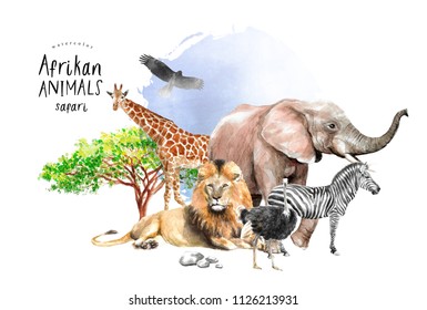 Watercolor Illustration Of African Animals: Zebra, Lion, Ostrich, Elephant, Giraffe, Eagle, Southern Savannah Tree And Stones, A Set Of Drawings From The Hands Of Animals In The Zoo