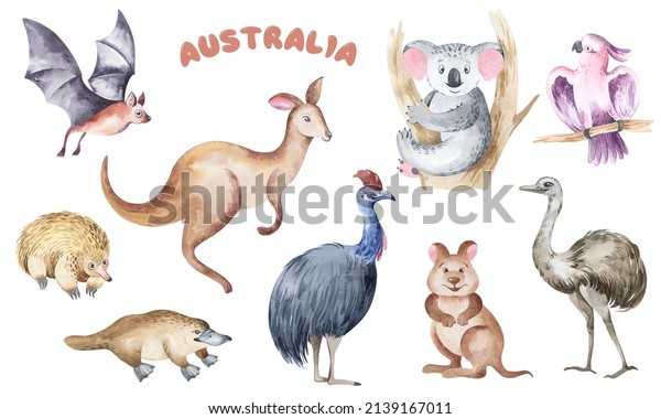 Watercolor Illustration Australian Cartoon Animals Australian Stock ...