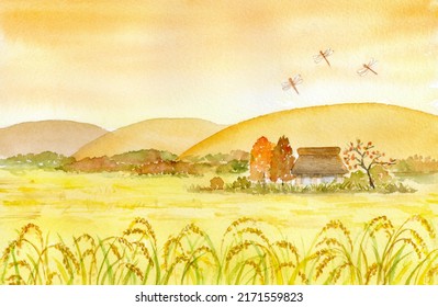 Watercolor Illustration Of Autumn Rice Field