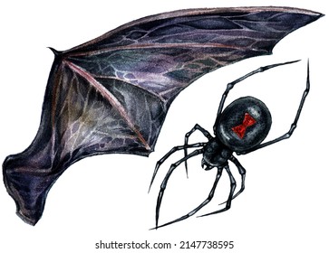 Watercolor Illustration of Bat Wing and Black Widow Spider Isolated on White Background. Hand Drawn Dark Gothic Wedding Decoration. Halloween Botanical Illustration in Vintage Style.