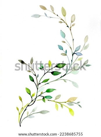 watercolor illustration beautiful branchy twig with leaves nature beauty aesthetics naturalness botany shrub bush Foto d'archivio © 