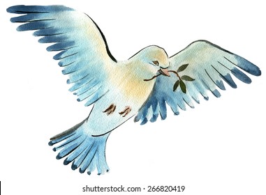 Watercolor illustration of a bird dove
