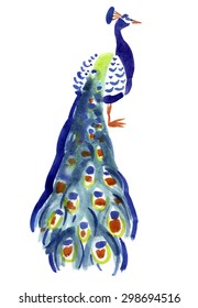 Watercolor illustration bird peacock