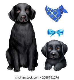 Watercolor illustration of black labrador retriever with puppy, dog and puppy, pet 