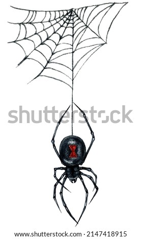 Watercolor Illustration of Black Widow Spider and Web Isolated on White Background. Hand Drawn Dark Gothic Wedding Decoration. Halloween Botanical Illustration in Vintage Style.