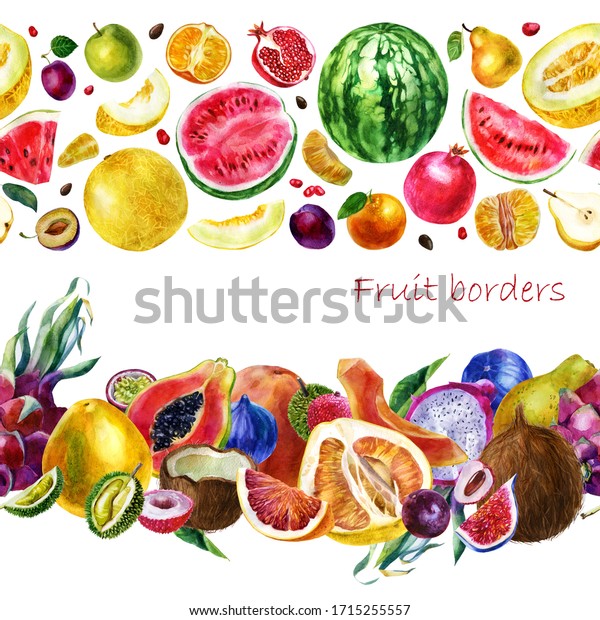 水彩イラストは果物の縁に飾る 熱帯の果物 パパヤは ザクロの梅に梨のみかんピタハヤのパッションフルーツ パイナップル イチジク ココナツ スイカ メロン デュリアンをグレープフルーツとする のイラスト素材