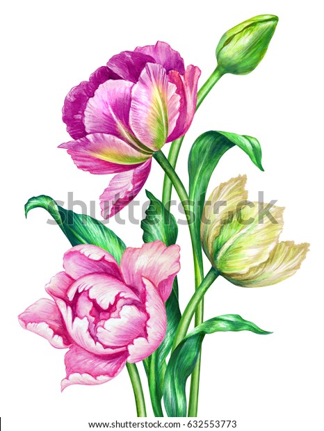 水彩イラスト 植物アート カラフルな夏のチューリップ 花柄の背景に美しい野花のブーケ お祝いのカード イースター 母の日 白い背景にクリップアート のイラスト素材