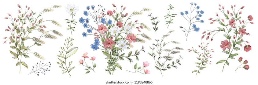 Watercolor illustration. Botanical collection of wild and garden plants. Set: leaves, flowers, branches, herbs and other natural elements. Bouquet of wild flowers.