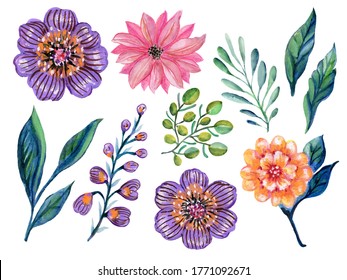 Watercolor Illustration Botanical Leaves Collection Foliage Abstract Gebera Marigold Flower Leaves Elements Hand Painted