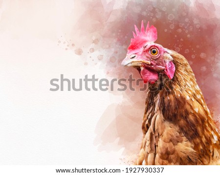 Watercolor illustration of a brown chicken. Bird illustration.