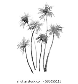 Watercolor illustration of a California palm tree.  watercolor print