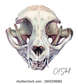Watercolor Illustration Cat Skull Isolated White  Dead Cat's Head Bones Halloween Clipart  Tattoo Sketch  Wall Art Gothic Horror Decoration in Vintage Style  Realistic Painting 