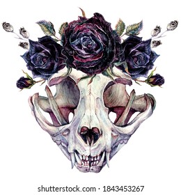 Watercolor Illustration of Cat Skull in Wreath of Black Roses Isolated on White. Dead Cat's Head Bones with Flowers Halloween Clipart. Tattoo Sketch, Wall Art. Vintage Style Gothic Horror Decoration.
