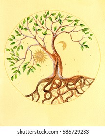  Watercolor Illustration Of Celtic Tree Of Life On Vintage Background With Gold Texture.